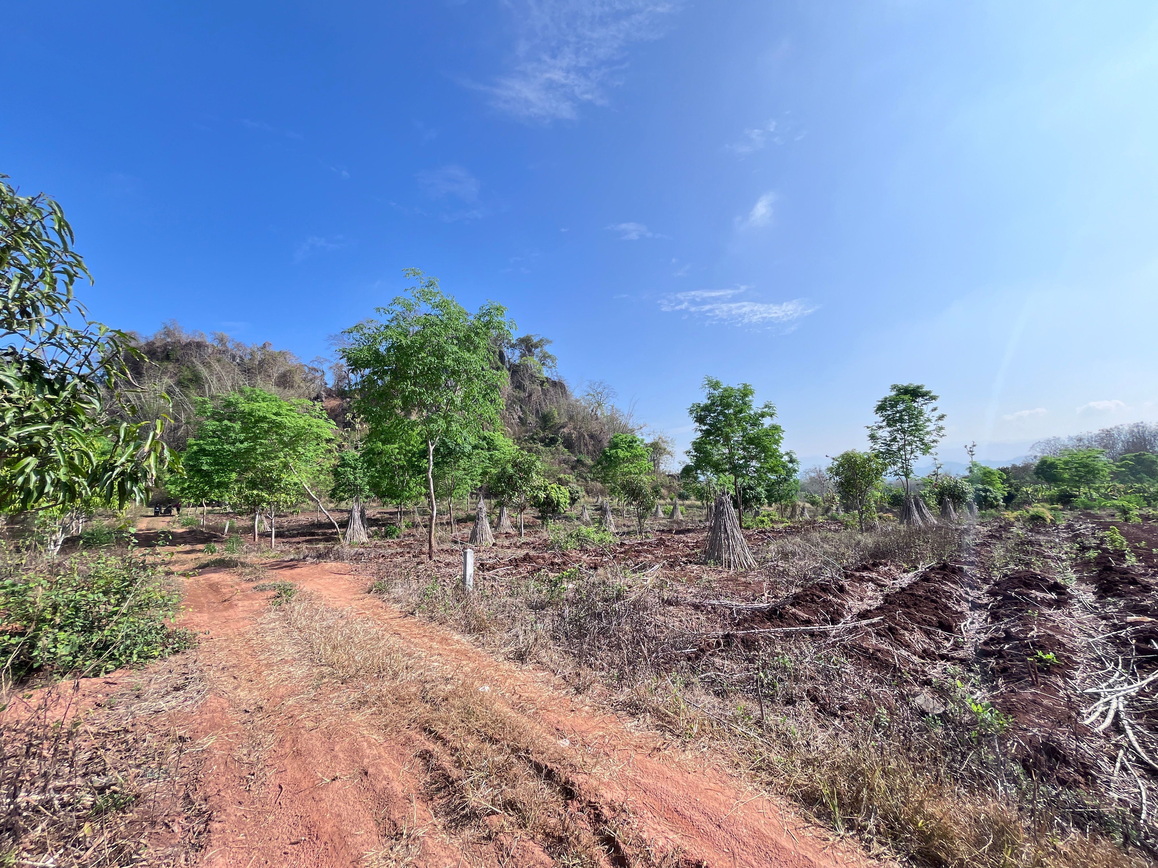 ขายที่ดินกาญจนบุรี ทองผาภูมิ 2 ไร่