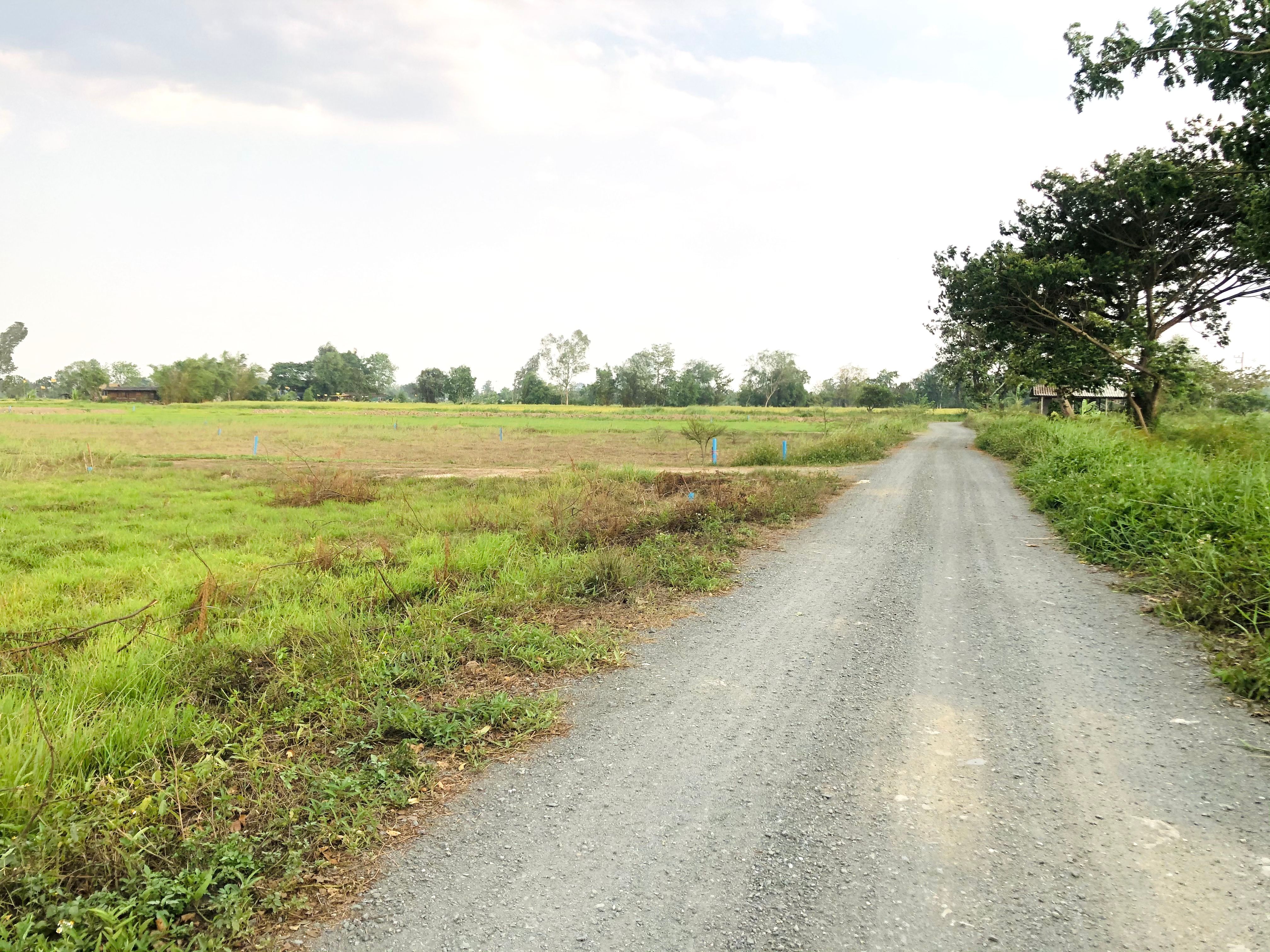 ที่ดินใกล้เมืองเชียงใหม่ (โซนท่ารั้ว) ต.สันปูเลย อ.ดอยสะเก็ด ห่างเซ็นทรัลเฟสติวัลเชียงใหม่เพียง7กิโล