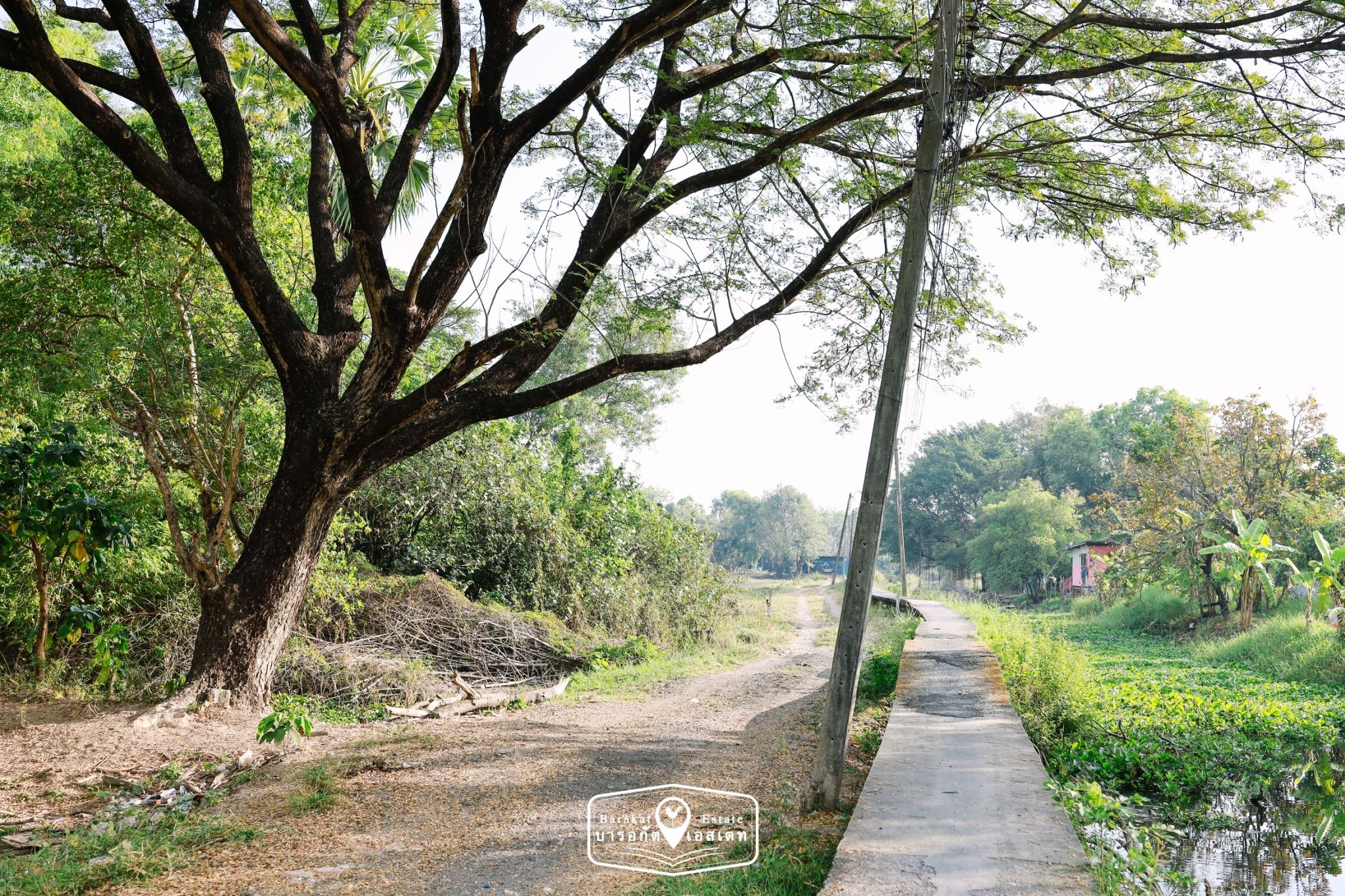 ที่สวย 2 งาน  เข้าซอย 700 เมตร เขตคลองสามวา