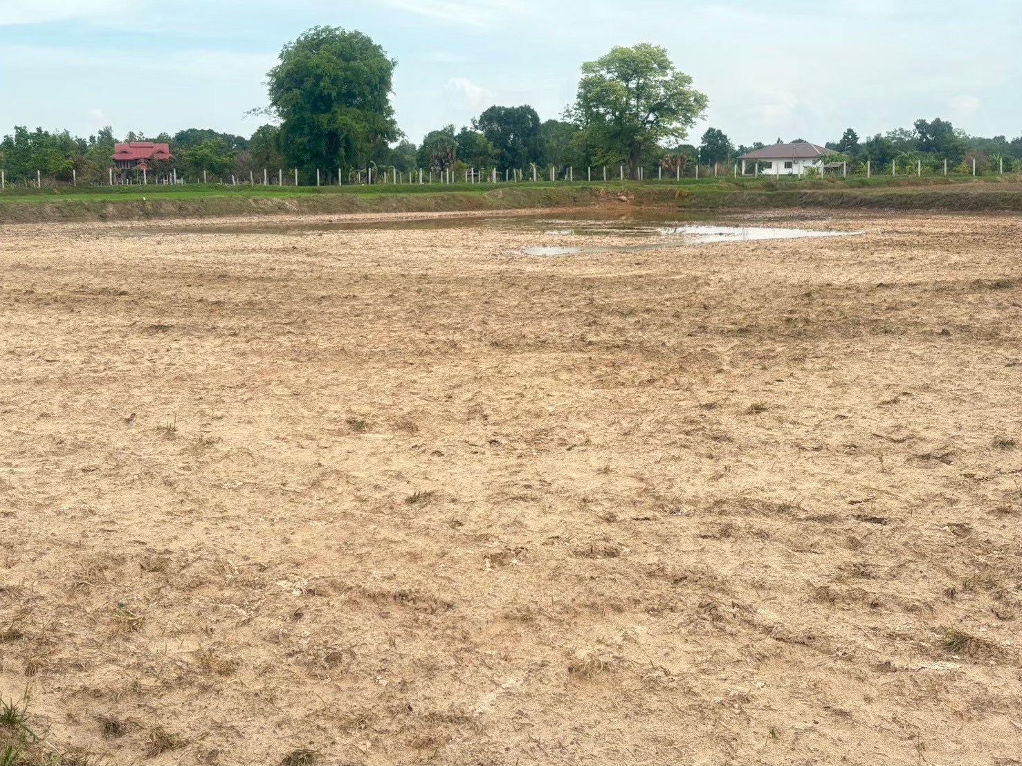 ขายที่ดินอุบลราชธานี อำเภอศรีเมืองใหม่ ที่นา ที่สร้างบ้าน