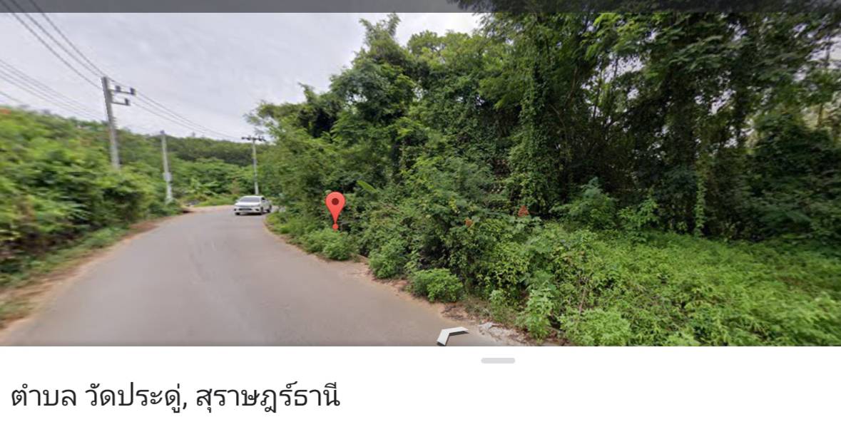 ขายที่ดิน สุราษฎร์ธานี 63.6 ตรว.