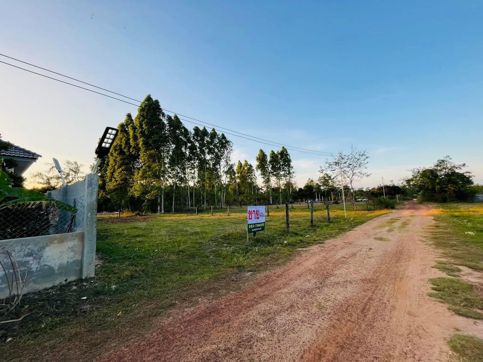 ที่ดินในเมืองอุบล-เทศบาลขามใหญ่ 100 ตร วา