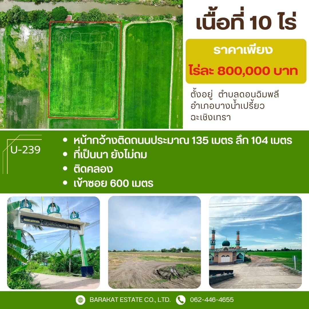 ที่ดินยังไม่ถม ทำเลเงียบสงบ สูดอากาศบริสุทธิ์ได้ทุกวัน อำเภอบางน้ำเปรี้ยว ฉะเชิงเทรา