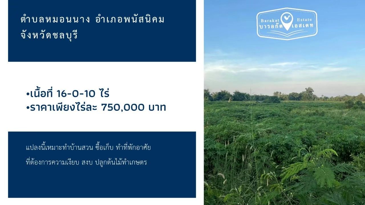 ที่สวย ราคาถูก เหมาะสำหรับนักลงทุน อำเภอพนัสนิคม จังหวัดชลบุรี