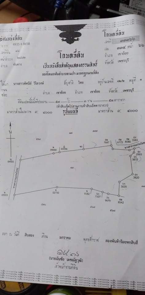 ขายที่ดินเพชรบุรี เขาย้อย  57-3-51 ไร่