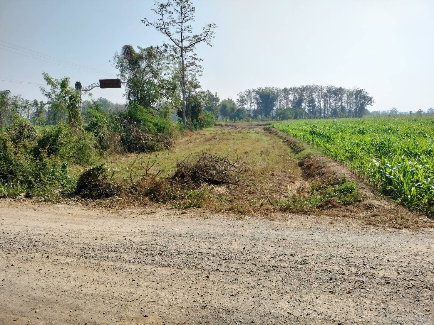 DD-0307 ขายที่ดิน บ้านแม่ยางร้อง อ.ร้องกวาง แพร่  1-1-3 ไร่