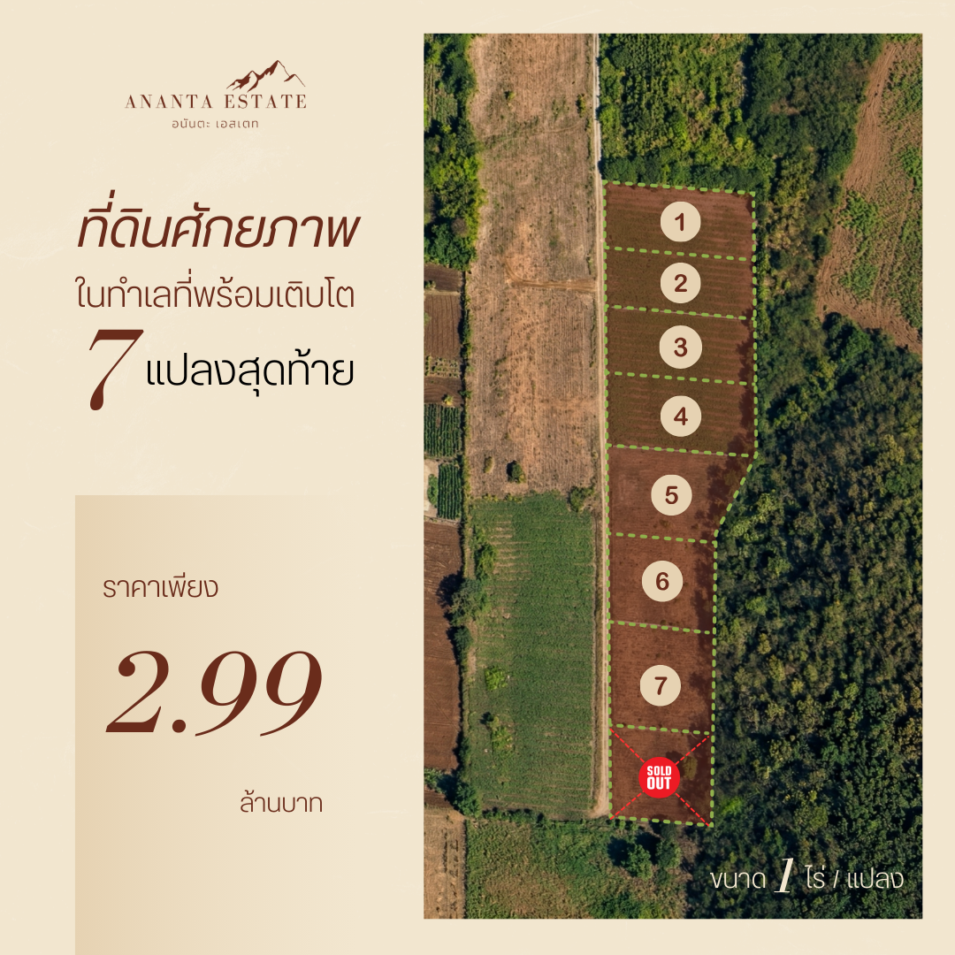 แบ่งขายที่ดิน 7 แปลง (รวม 7 ไร่) ต.ขนงพระ อ.ปากช่อง จ.นครราชสีมา (มีโฉนดครุฑแดงทุกแปลง พร้อมโอนทันที!)