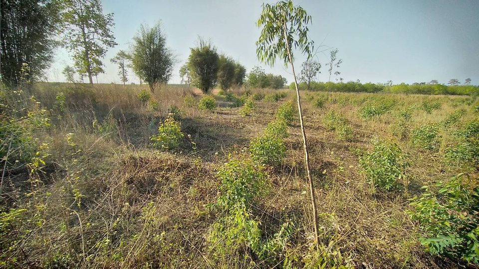 ที่ดินเปล่า อุดรธานี 49-2-67