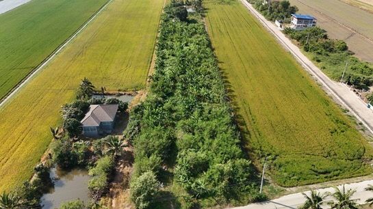 ขายที่ดินปทุมธานี ลาดหลุมแก้ว ถมแล้ว 4-3-85 ไร่
