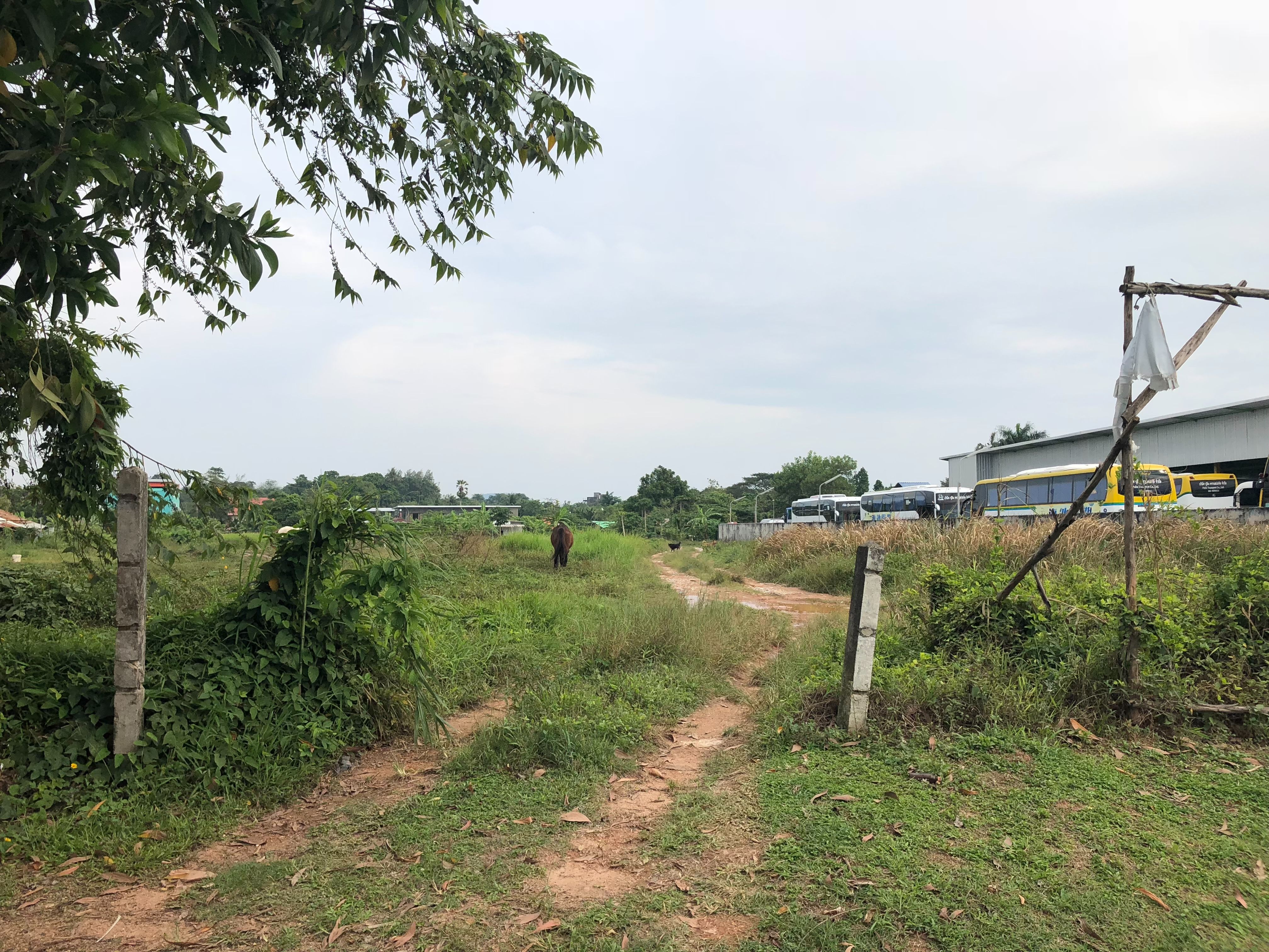 ขายที่ดินเปล่า ซอยเจ้าฟ้า 48  อำเภอเมือง จังหวัดภูเก็ต