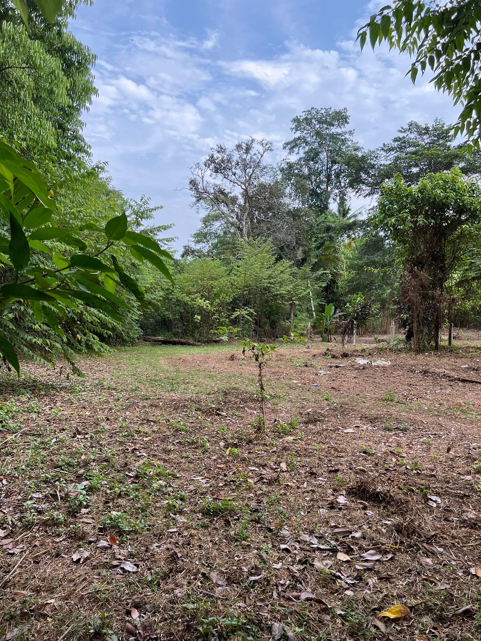 ขายที่ดินโฉนดเกาะช้าง จ.ตราด 1-2-23 ตร.ว.