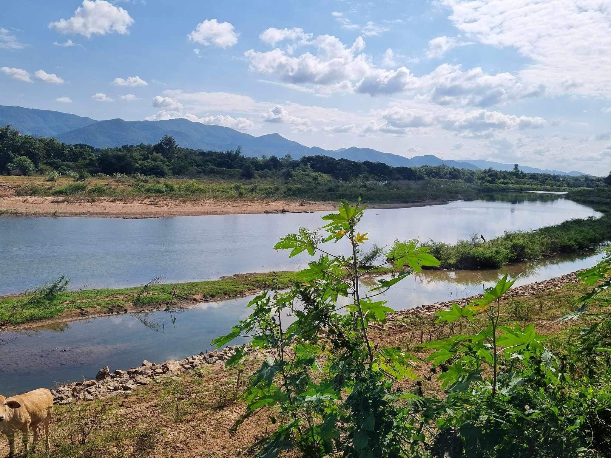 ขาย สวนปาล์ม 8 ไร่ ริมแม่น้ำวัง วิวสวย อากาศดี เหมาะแก่การลงทุน ลำปาง