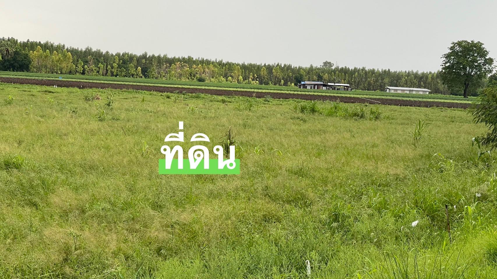 ที่ดินเปล่า อ.โคกสำโรง จ.ลพบุรี 14-3-60