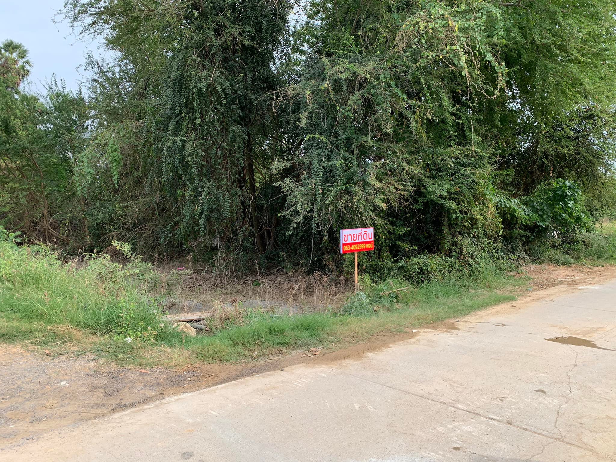 ที่ดินเหมาะแก่การปลูกที่พักอาศัย เพชรบุรี 93 ตร.ว