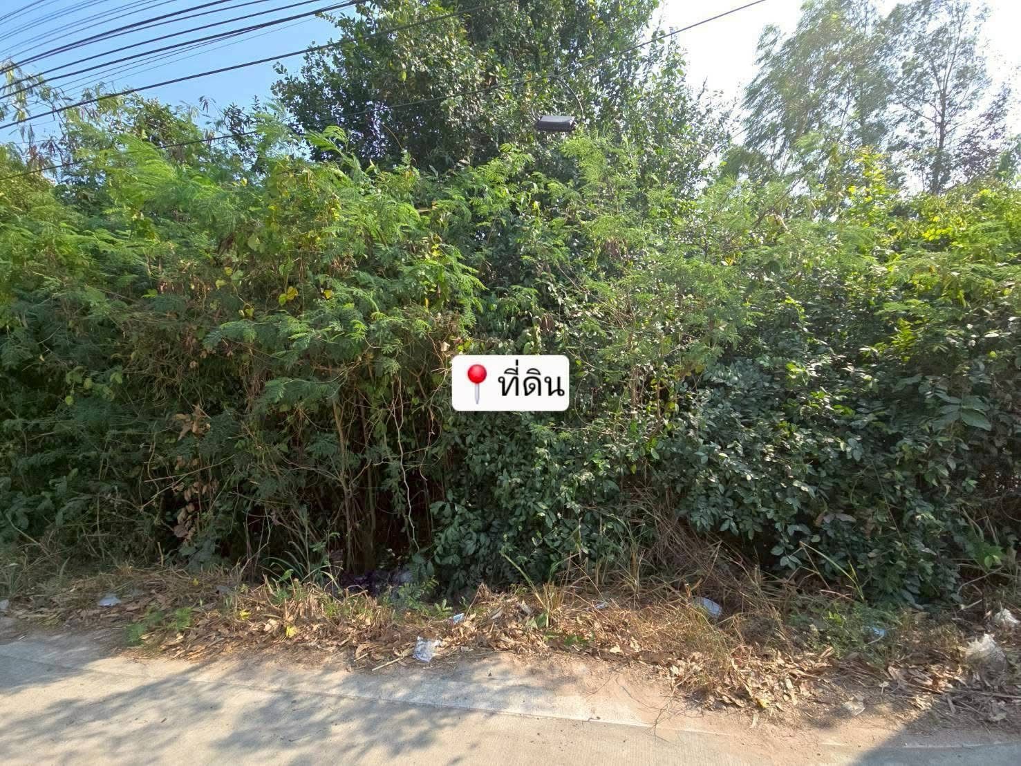 ขายที่ดินชลบุรี ห้วยใหญ่ บางละมุง 4ไร่1งาน