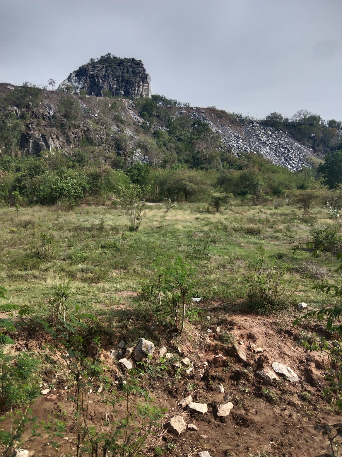 ขายที่ดิน สุพรรณบุรี 71-2-53