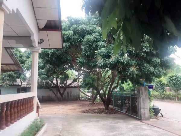 บ้านพร้อมที่ดินราคาถูกในตัวอำเภอธวัชบุรี ร้อยเอ็ด 1-0-39.6