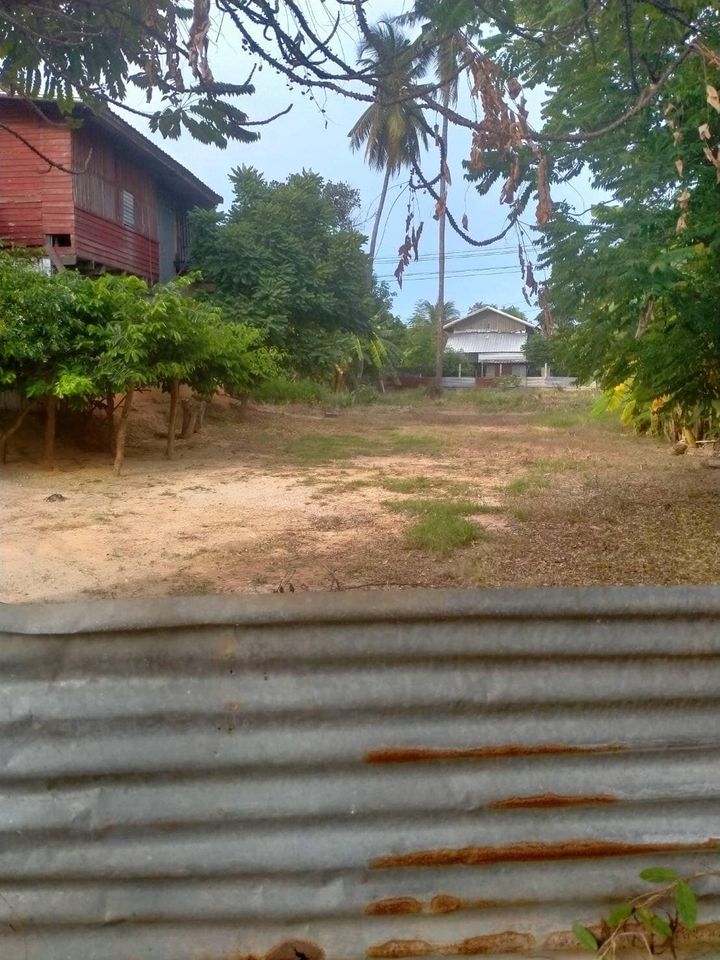 ที่ดินอยู่ ต.พลายชุมพล ใกล้เซ็ลทรัลพิษณุโลก 205.5 ตรว.