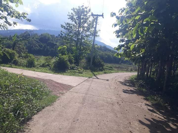 ที่ดินเปล่า อุตรดิตถ์ 1-2-59