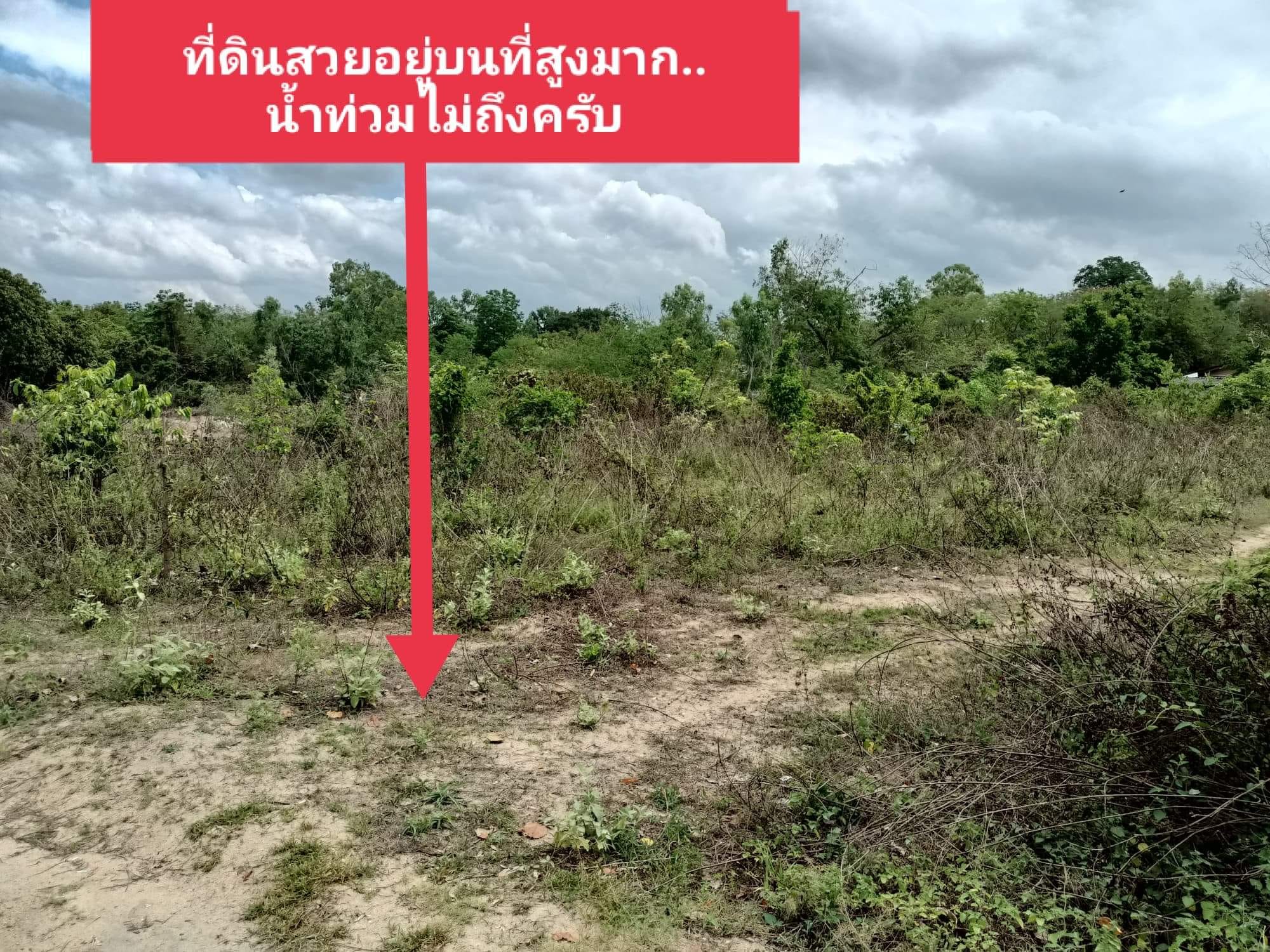 ที่ดินเปล่า เมืองตาก ตาก 0-3-62.1