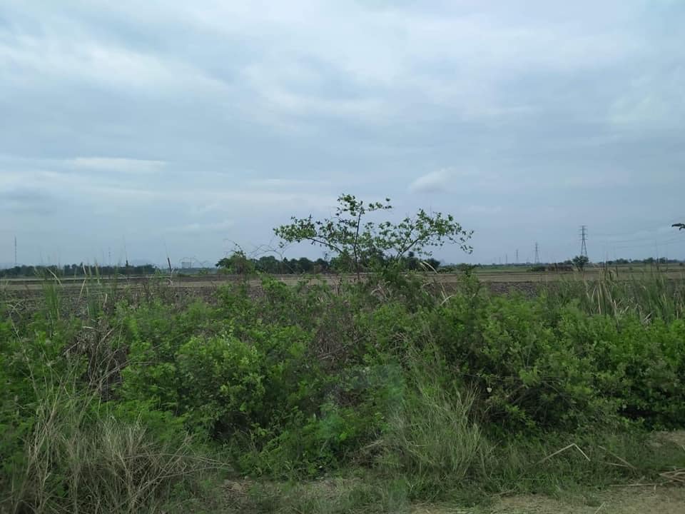 ที่ดินจังหวัดเพชรบุรี เขาย้อย 1-2-43.3