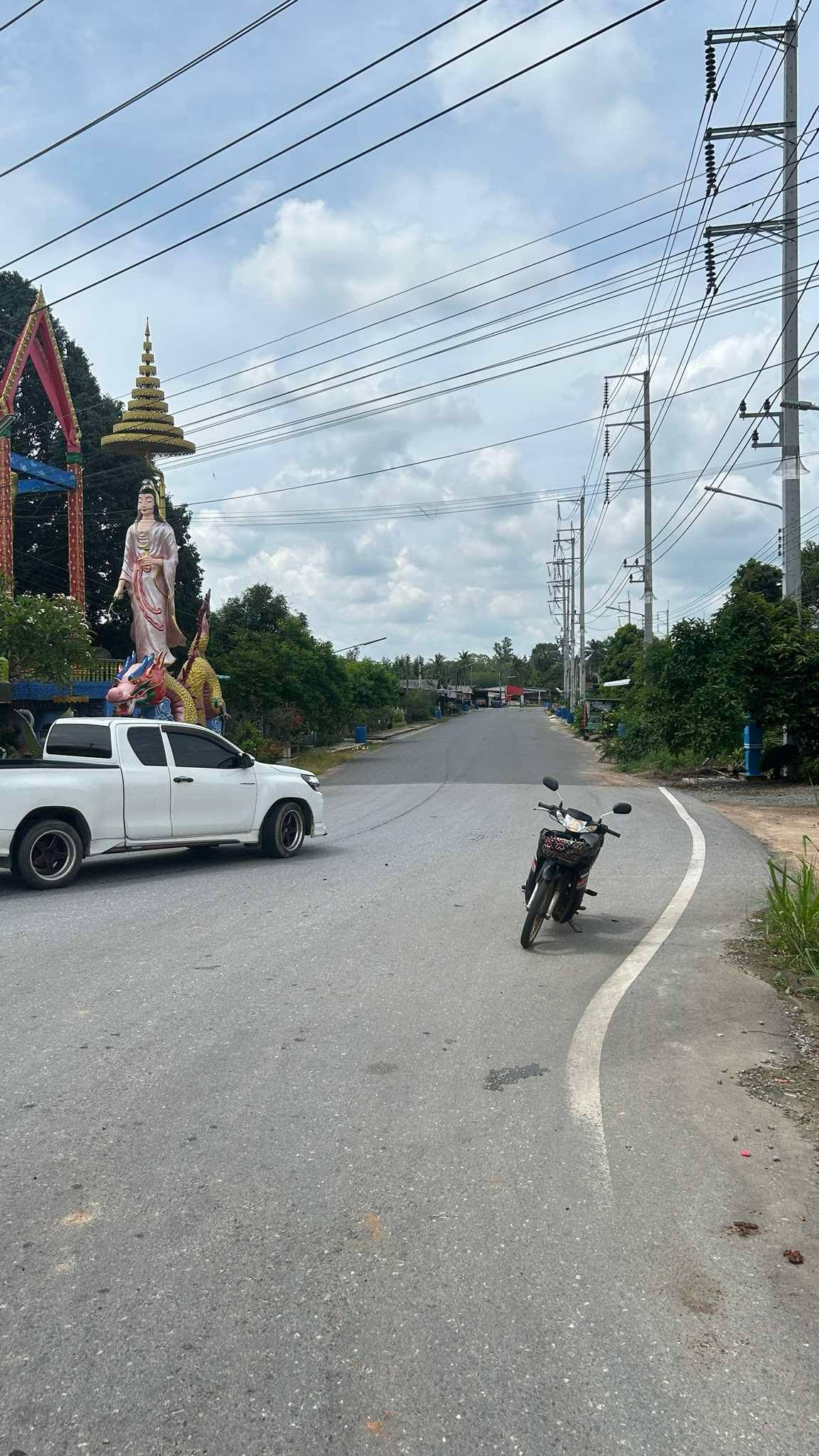 ขายที่ดินระยอง วังจันทร์ ที่ดินแปลงสวย ติดถนนสาธารณะ ที่ดินเปล่า 49ไร่ 2งาน 8ตารางวา น่าลงทุน