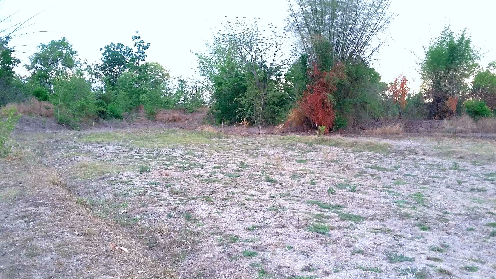 ที่ดินเปล่า สุโขทัย 26-1-40