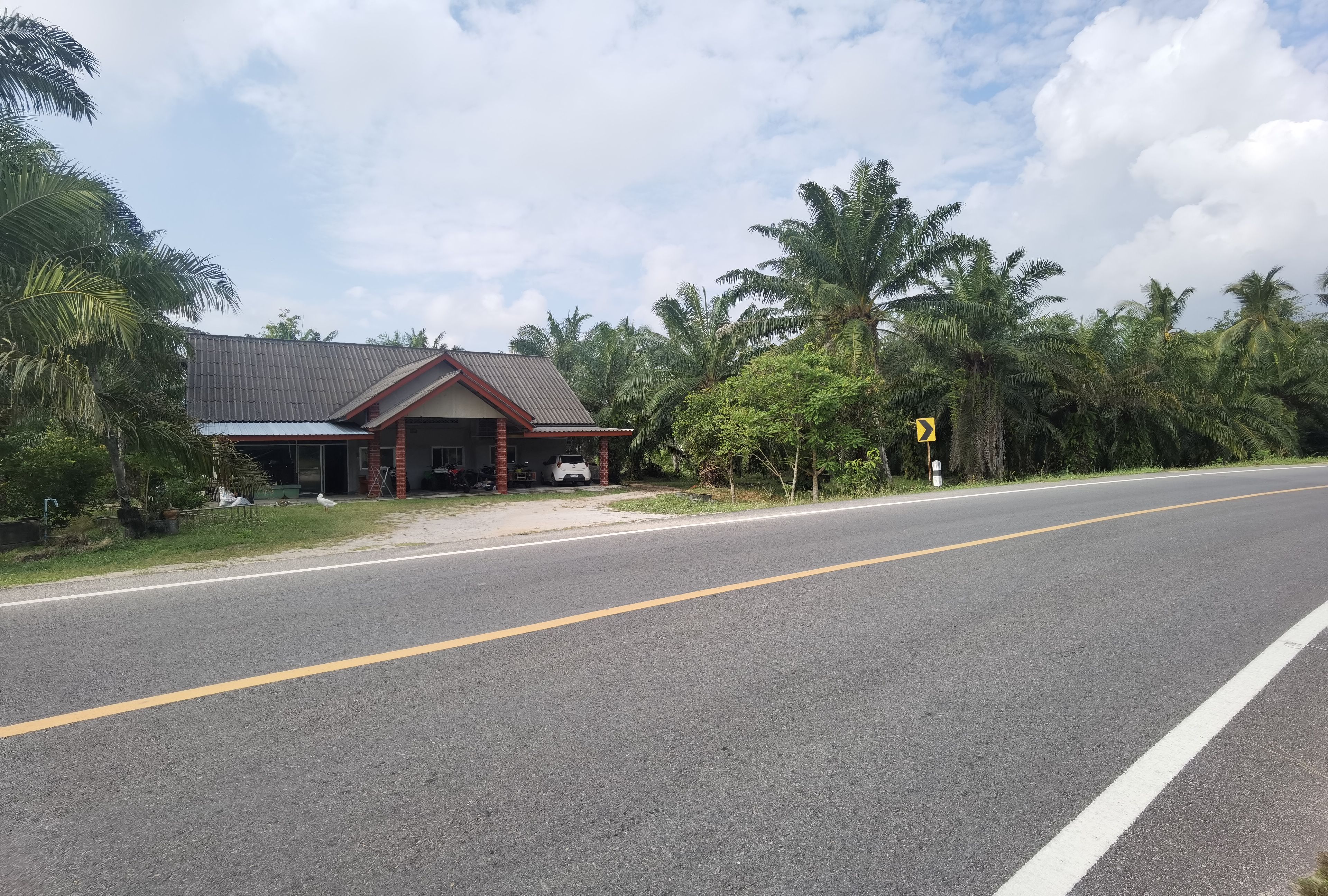 ขายบ้านพร้อมที่ดิน มีสวนปาล์มน้ำมัน