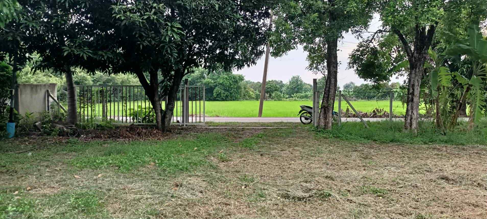 ขายที่ดินสระบุรีถมดินแล้วบรรยากาศดีเหมาะทำบ้านสวน