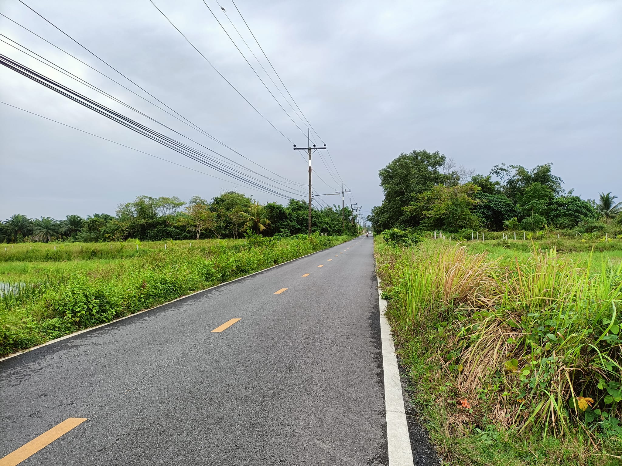 ที่ดินถมแล้ว ทำเลอนาคต นครศรีธรรมราช 62.8 ตรว.