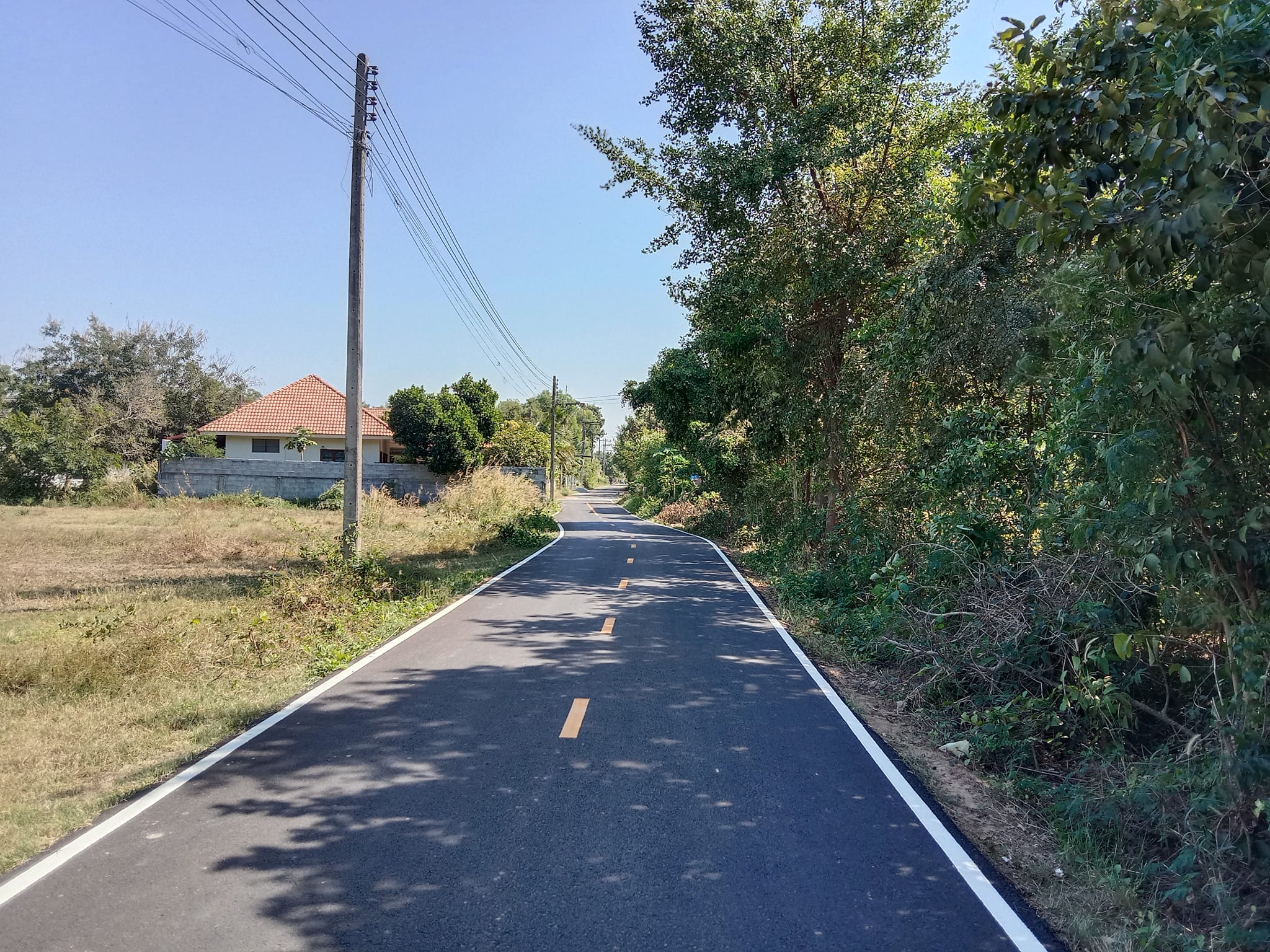 ขายที่ดิน ร้อยเอ็ด 98 ตรว.