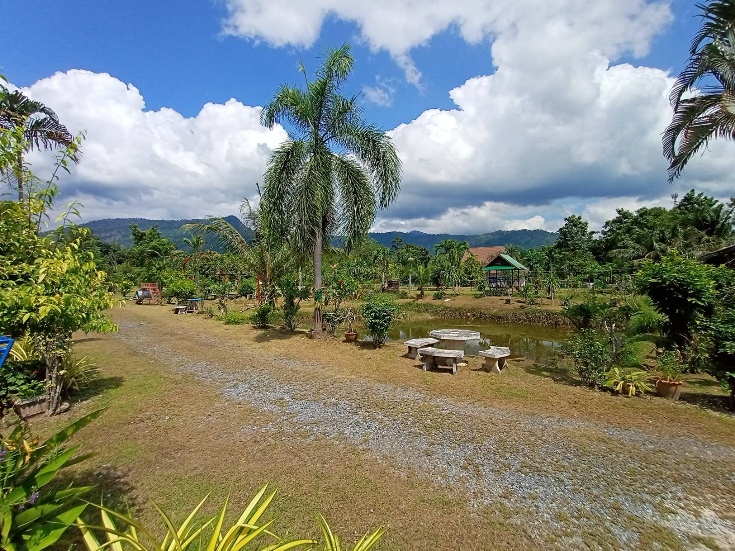 ขายโฮมสเตย์พร้อมที่ดิน เมืองนครนายก 5-0-0