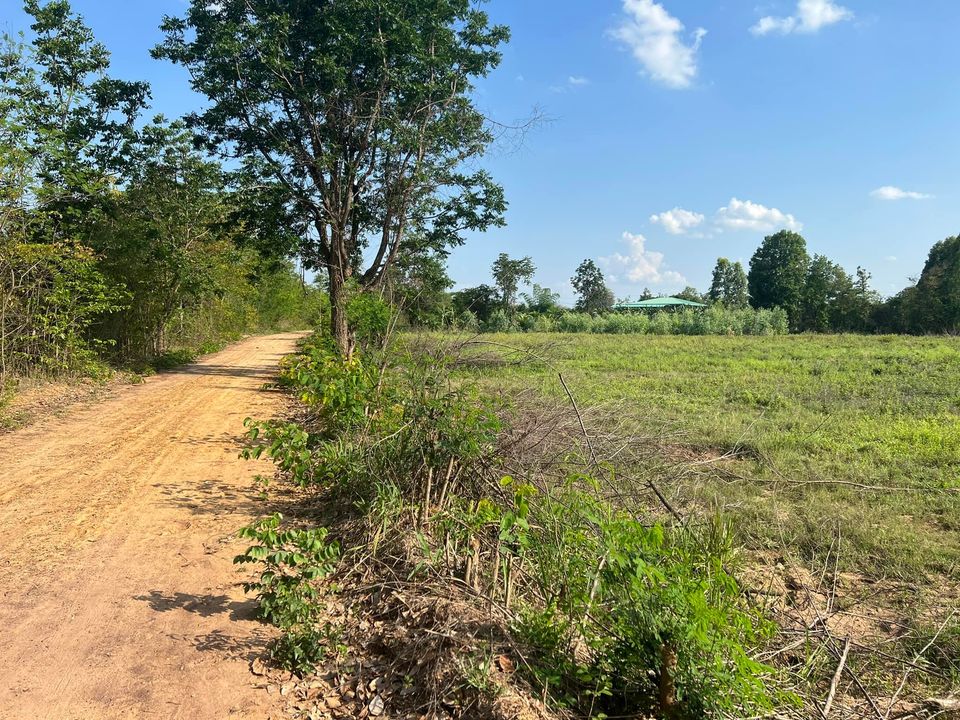 ที่ดินสวย ทำเลดี ชัยภูมิ 5-3-20