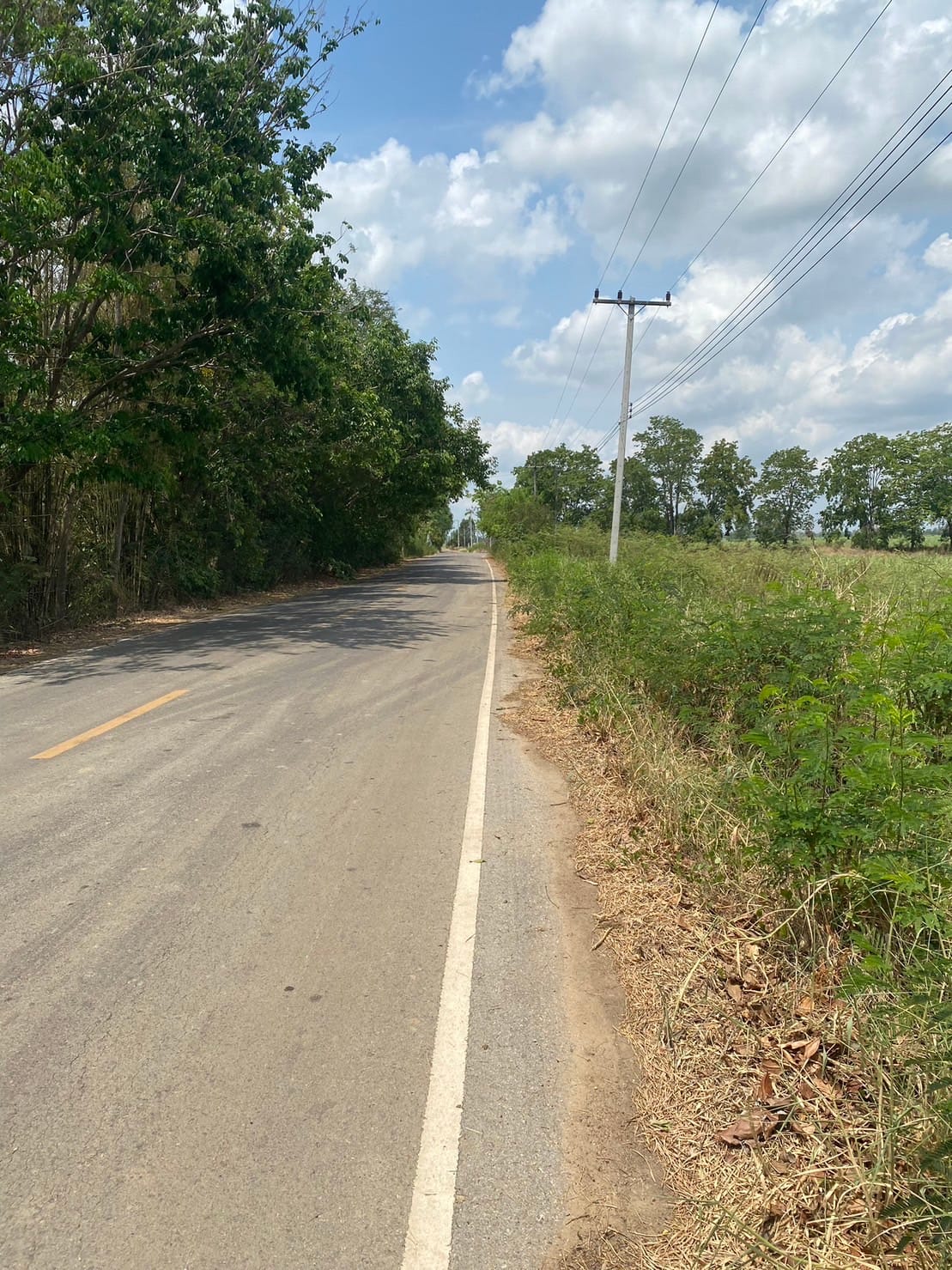 ขายที่ดิน