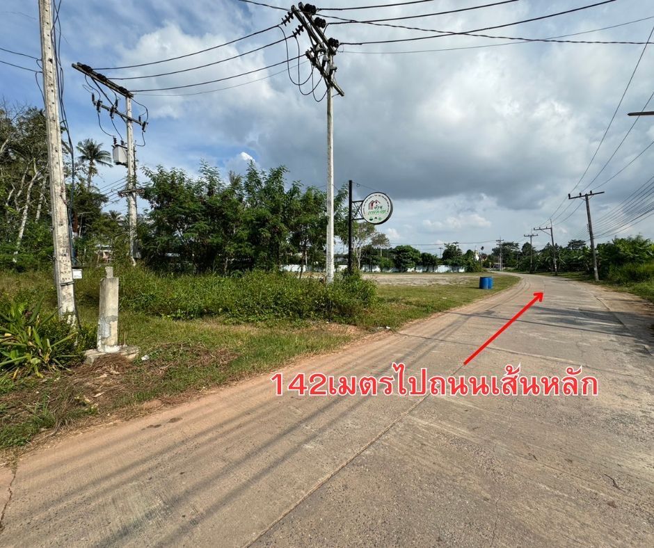 ขายบ้านพร้อมที่ดิน บรรยากาศดี มีความเป็นส่วนตัว ใกล้แหล่งอำนวยความสะดวก อยู่หลัง เอ็มจี สุราษฎร์ธานี (ลักซูรี่กรุ๊ป) 1-2-12 ไร่.