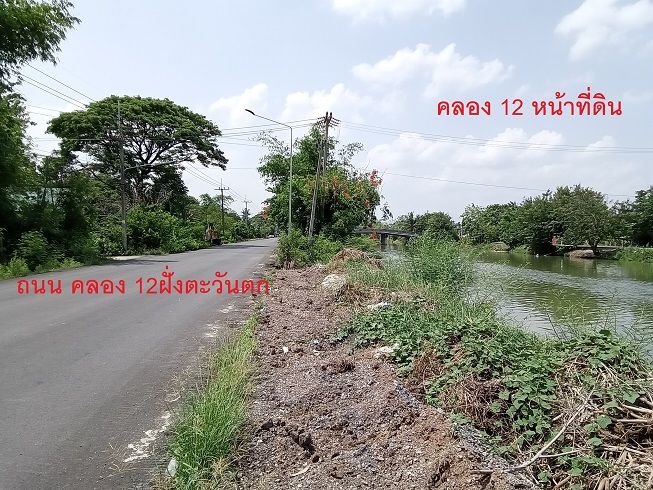 ขายที่ดิน 39 ไร่ คลอง 12 หนองเสือ ติดถนน 4 ด้าน พร้อมสวนปาล์ม