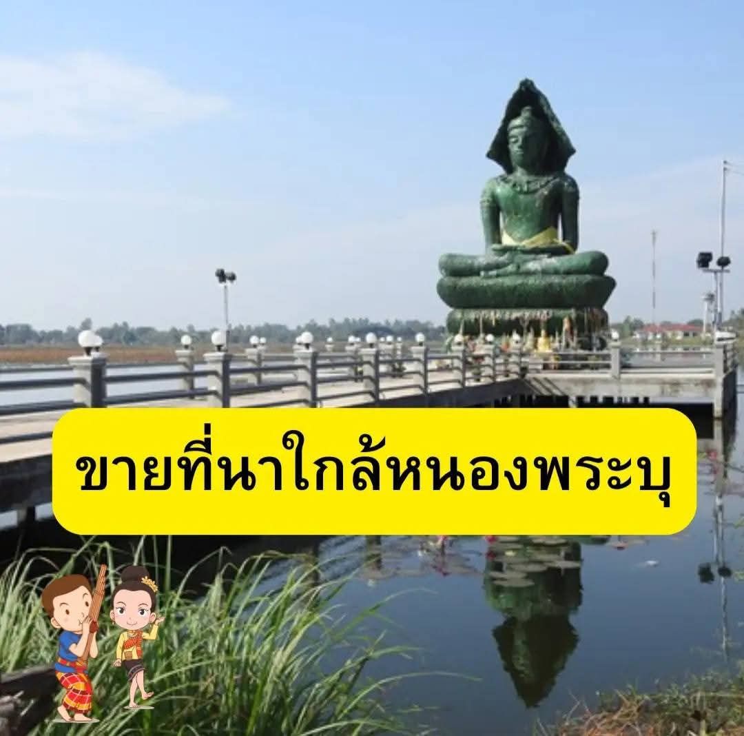 ขายที่ดินราคาถูก 7 ไร่ 2 งาน 55 ตรว.