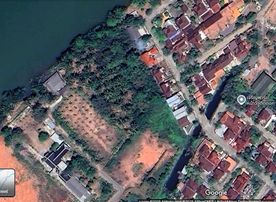 ขายที่ดินสุราษฎร์ธานี อำเภอเมือง ที่ดินเปล่า ใกล้ชุมชน