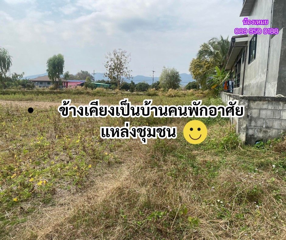 ขายที่ดินเชียงราย อำเภอเมือง ที่นาติดถนนแปลงสวย