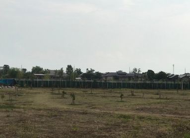ขายที่ดินเชียงใหม่ หางดง 4-1-27.1