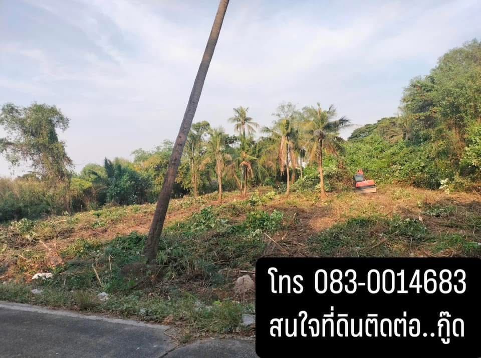 ขายที่ดิน "ท้องมังกร" ขนาด 2 ไร่ อ.พระประแดง จ.สมุทรปราการ
