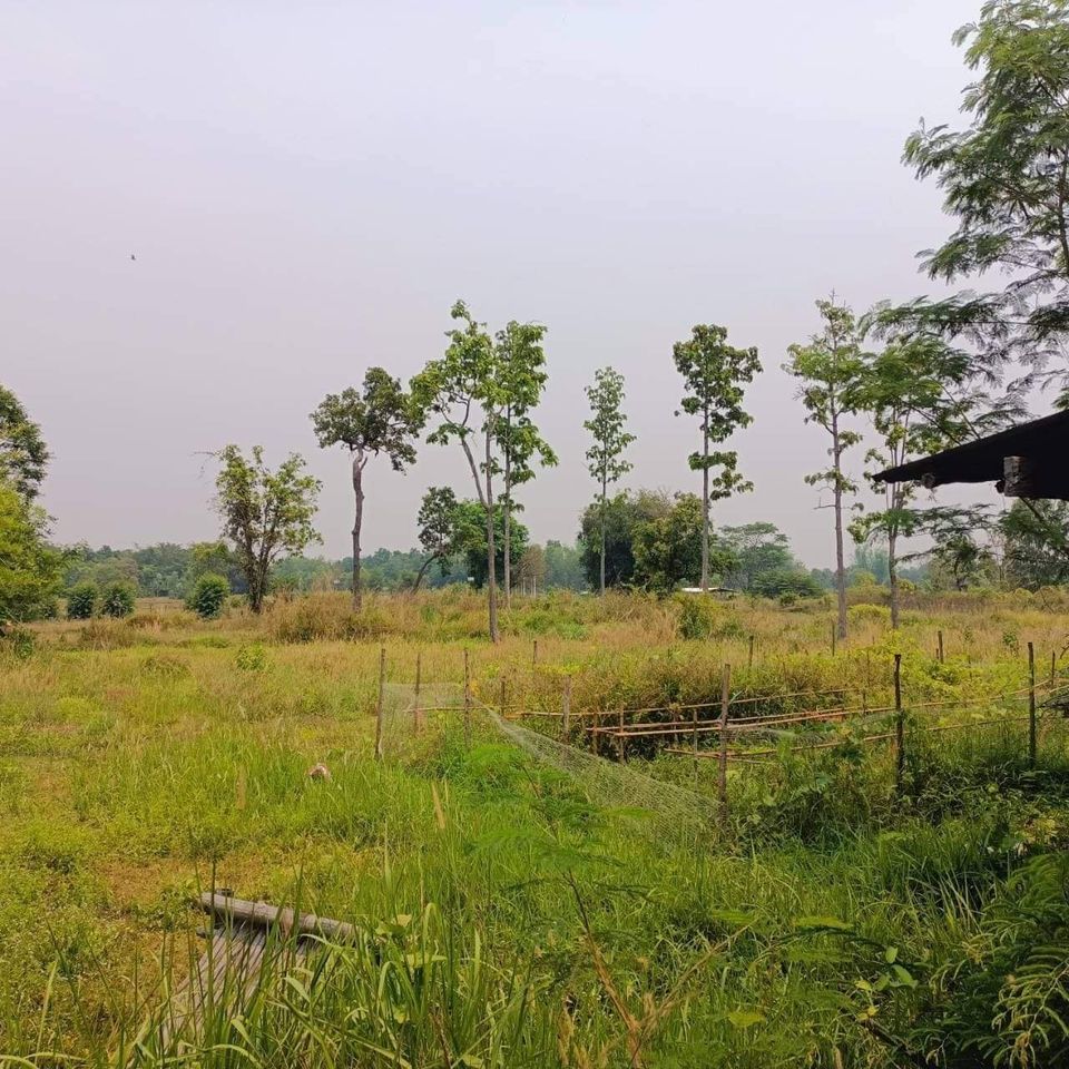 ที่ดินอยู่ติดหมู่บ้าน เพ็ญ อุดรธานี 7-1-98 ไร่