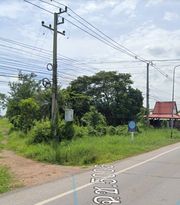 ที่ดินเปล่าฉะเชิงเทรา จ.ฉะเชิงเทรา อ.บางน้ำเปรี้ยว 259 ตร.ว.