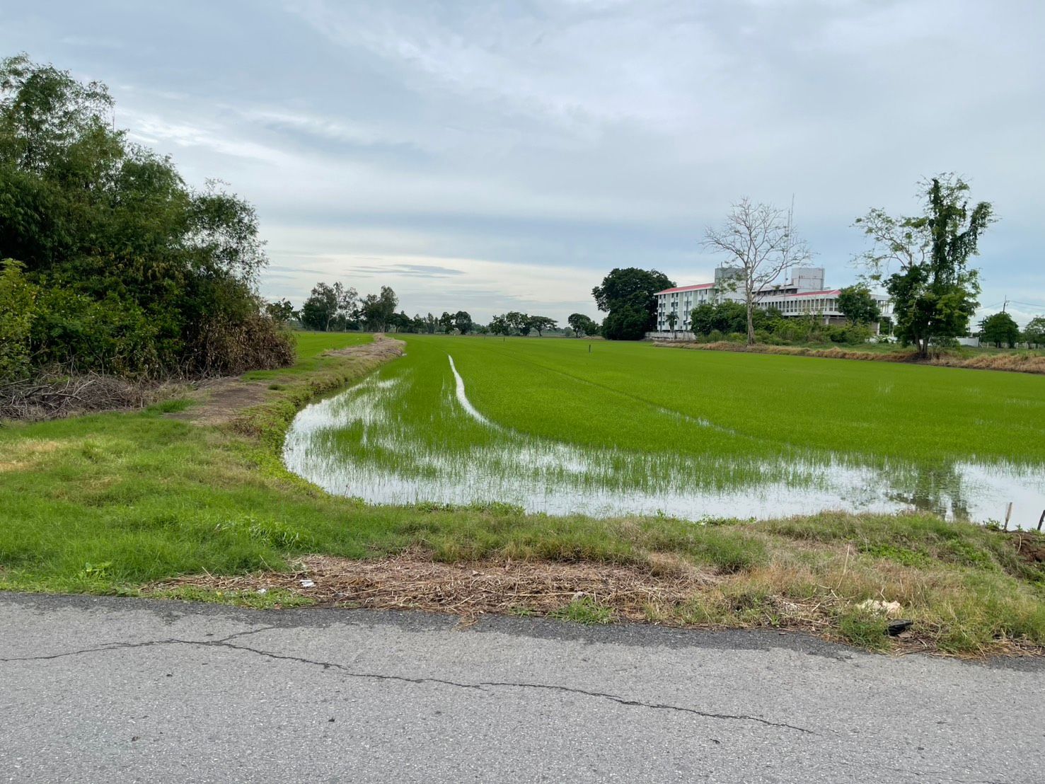 ขายที่ดิน หนองจอก กทม. 26-3-84 ไร่