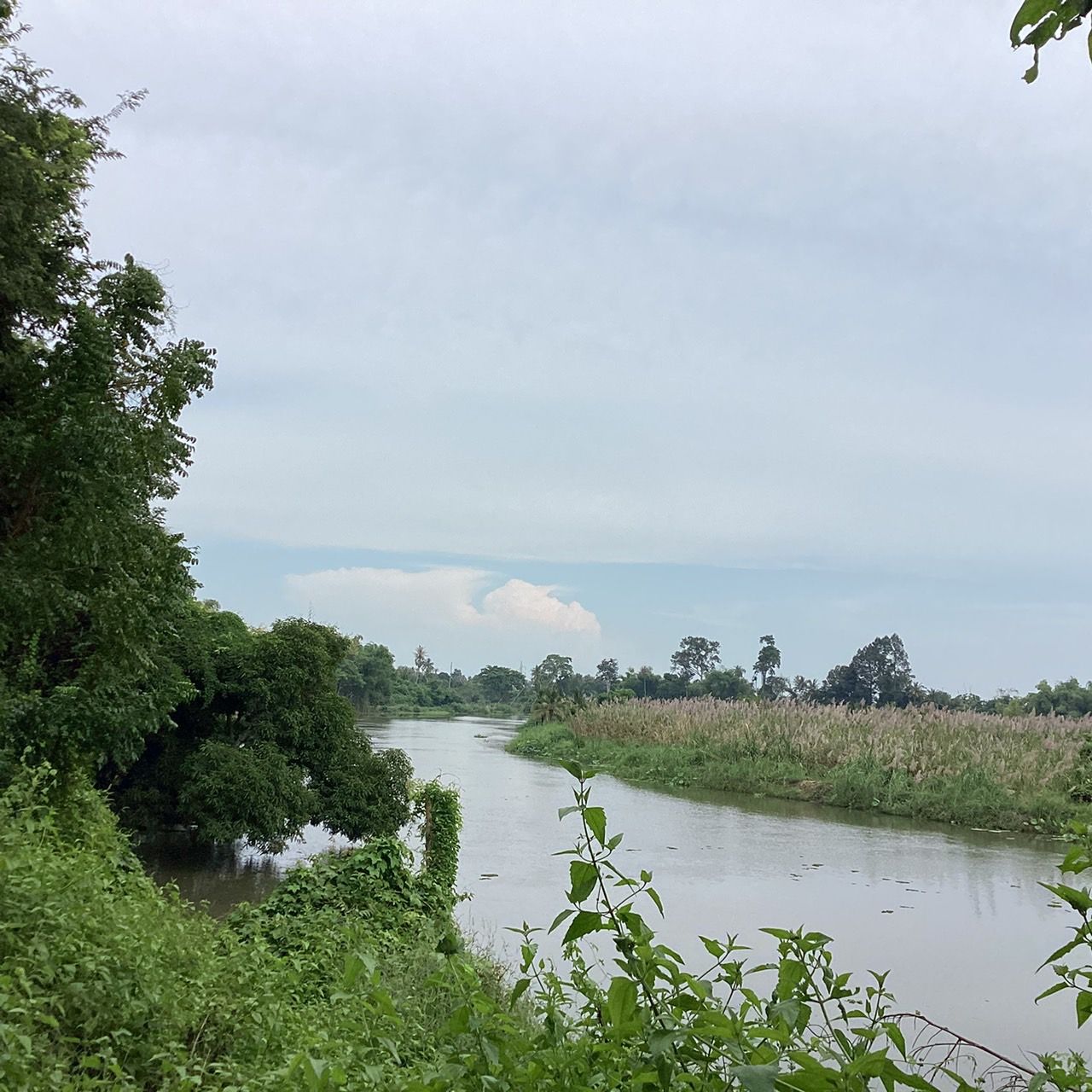ขายที่ดินสวนผลไม้ติดแม่น้ำเพชรบุรี