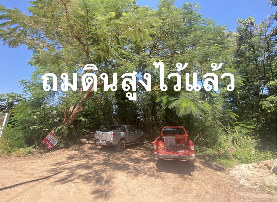ขายที่ดินเปล่านครราชสีมา จ.นครราชสีมา อ.เมืองนครราชสีมา 1 งาน