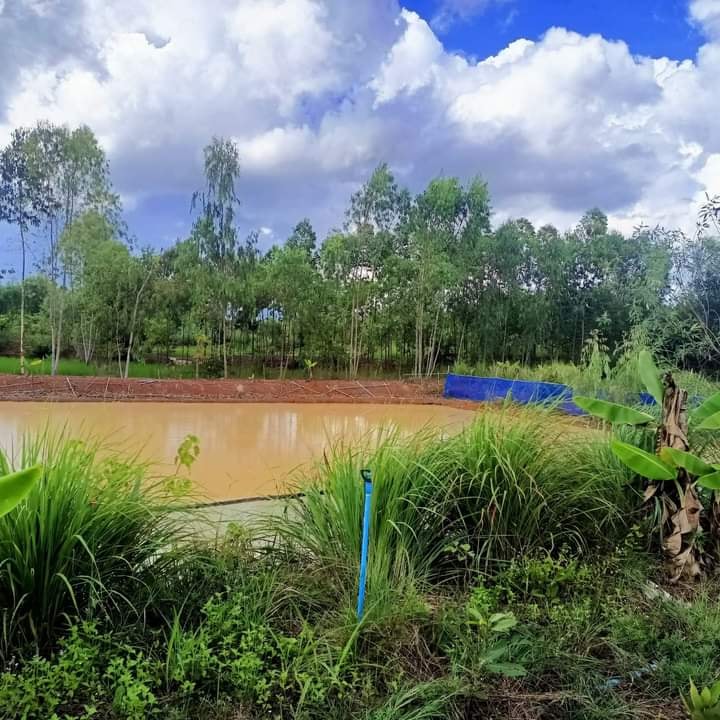ขายที่ดินพร้อมบ้านไม้ เพ็ญ อุดรธานี 8 ไร่