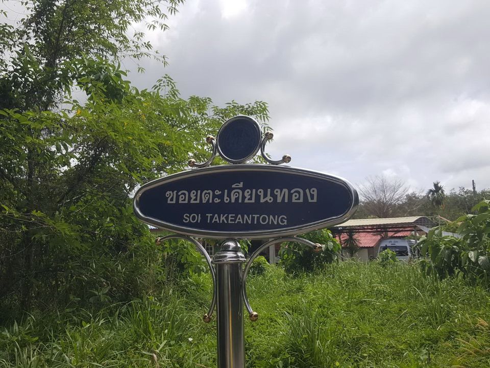 ที่ดินถลางในป่าครองชีพห่างถนนเทพ 1 กม.เนื้อที่ 222.7 ตร.วา ภูเก็ต 
