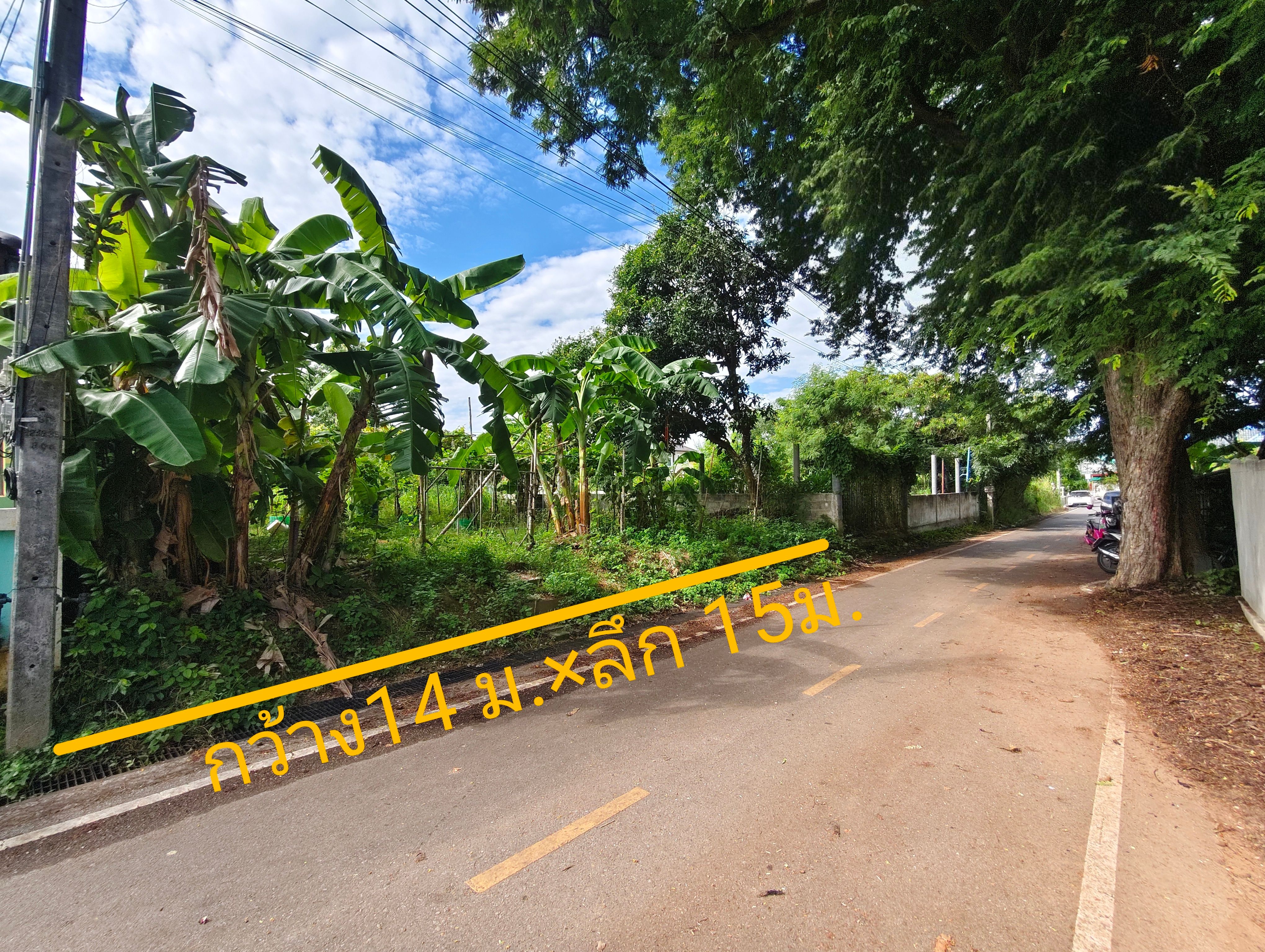 ขายที่ดินสัตหีบ 52ตรว. ใกล้สุขุมวิท ราคาต่ำกว่าตลาด