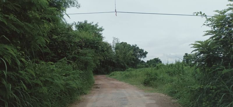 ขายที่ดินจัดสรร ระยอง0-1-0